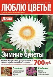 Журнал читать 2023