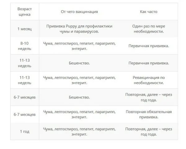 Первые прививки щенку возраст. График вакцинации щенков до года Нобивак. Прививки щенкам по возрасту таблица. Вакцинация щенков в 6 недель. Прививка щенков схема.