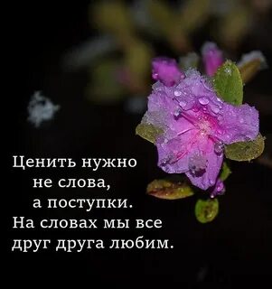 На словах мы все друг друга