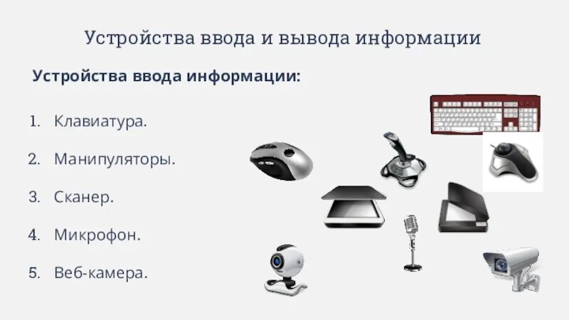 Устройствами ввода информации является ответ