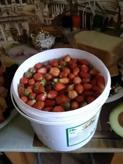 Ведро клубники сколько кг