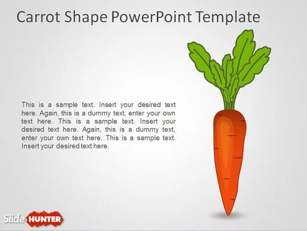 Carrot на английском. Графическая система Carrot. Carrot Shape. Carrot Template. Как по английски морковь
