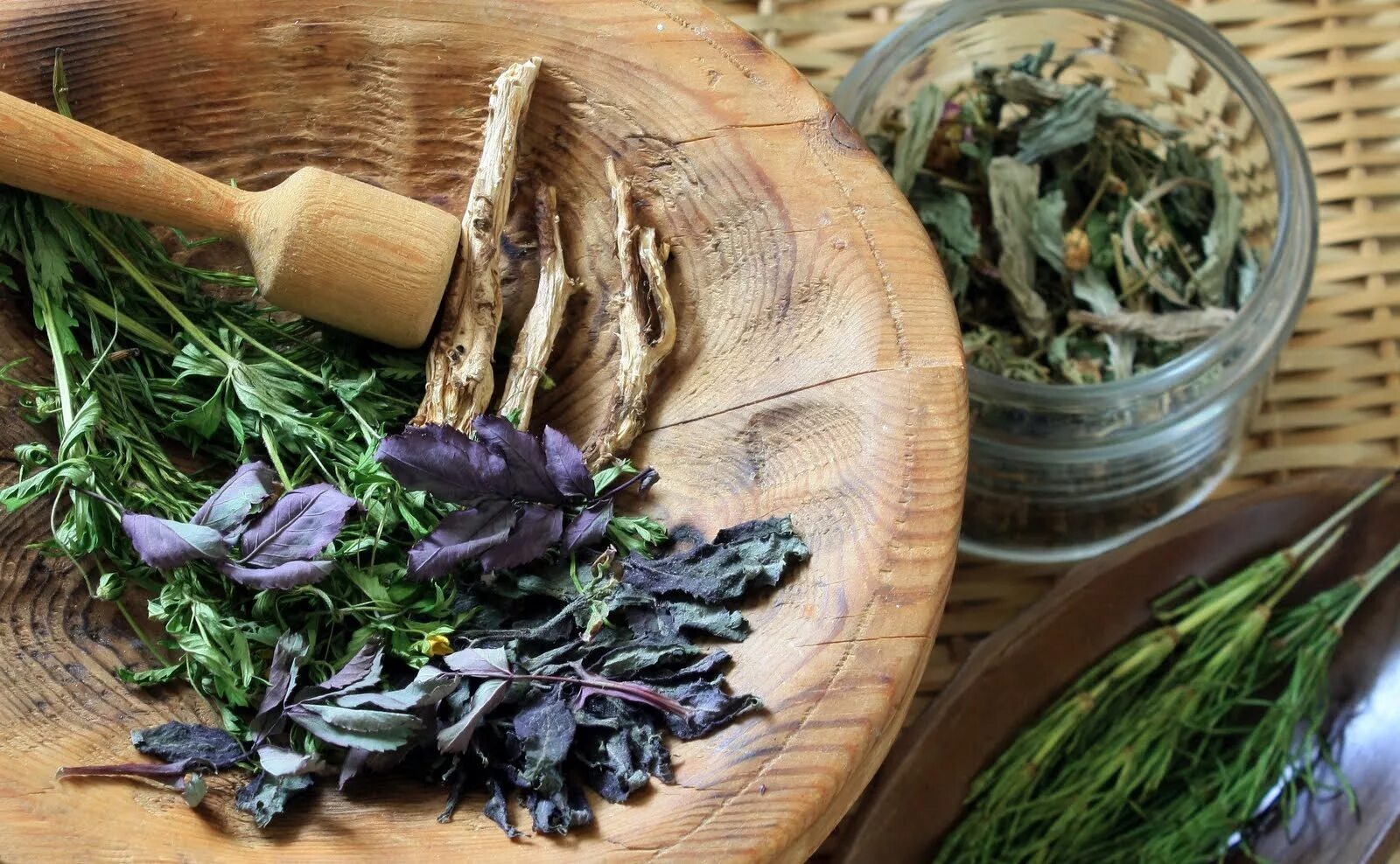 Целебные травы на белом фоне. Натуральные лекарства. Medical herb. Целебные травы. Medical herb.