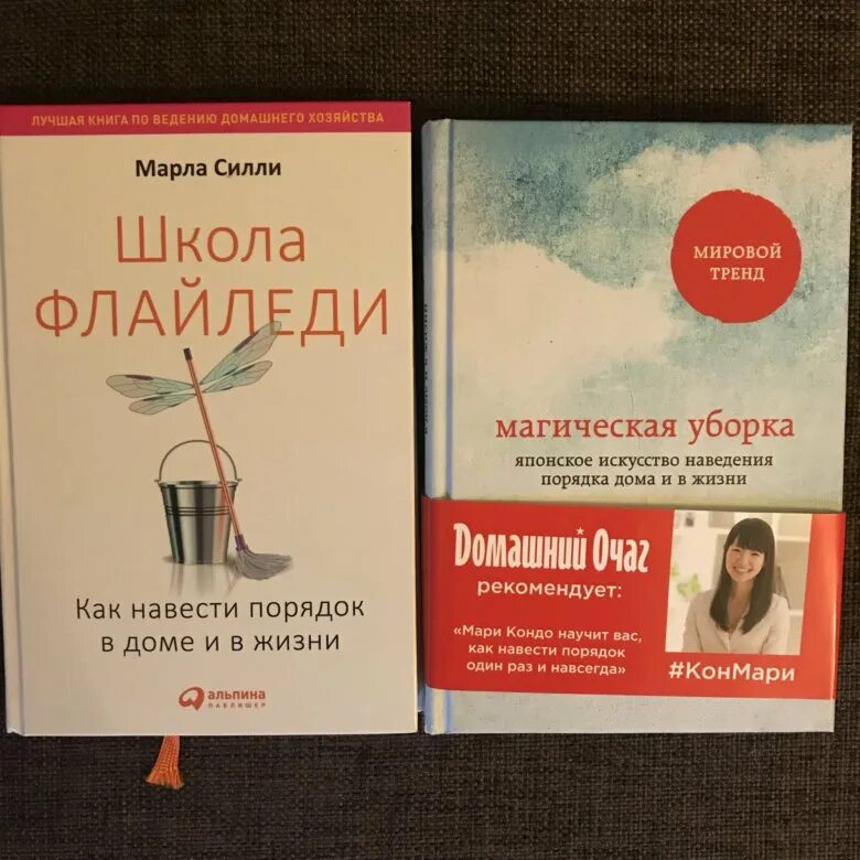 Цена жизни читать. Школа Флайледи. Школа Флайледи книга. Марла Силли. Марла Силли школа Флайледи.