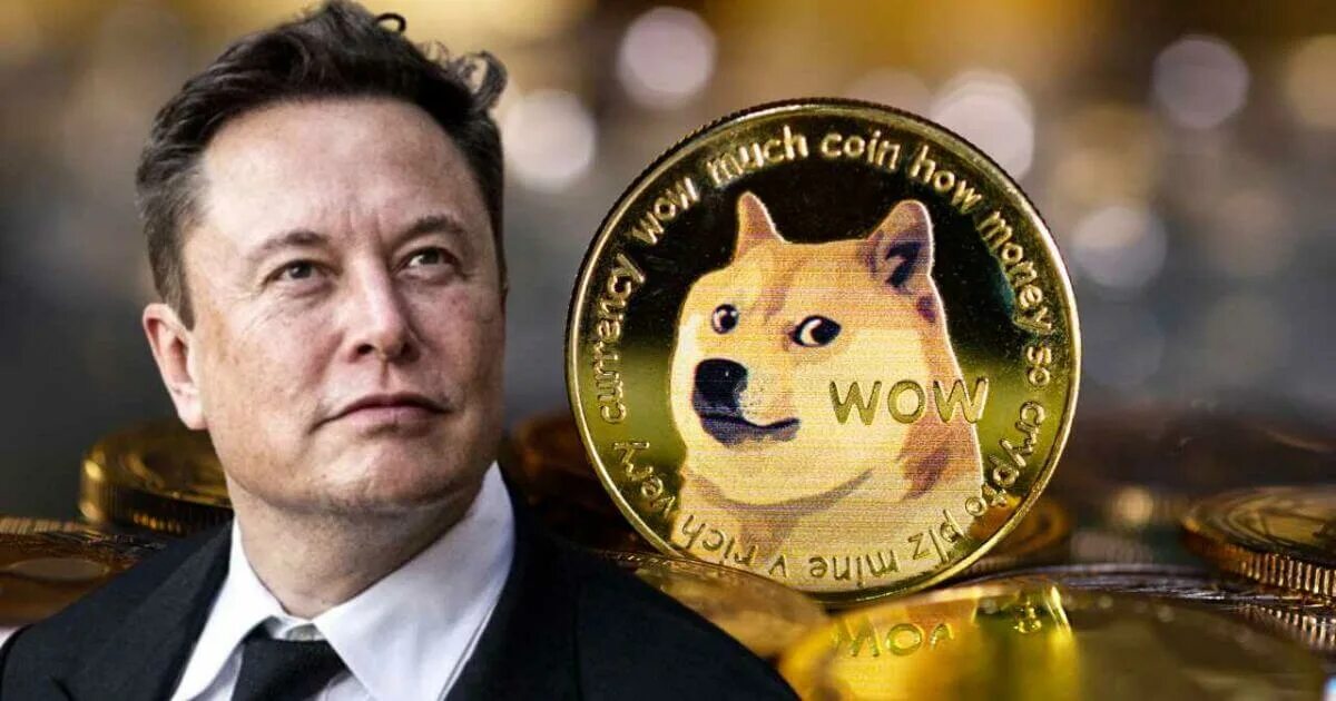 Mask network (mask). Илон маск и догкоин. Илон маск doge. Илон маск биткоин. Mask криптовалюта.