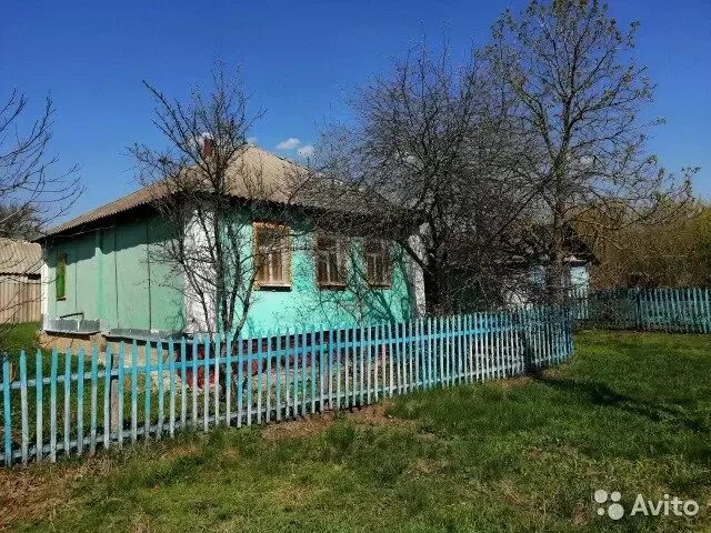 Церковь троицы живоначальной (криница). Церковь троицы живоначальной (криница). Церковь криница острогожск. Криница острогожского. Криница острогожского.