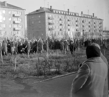 7 ноября погода в