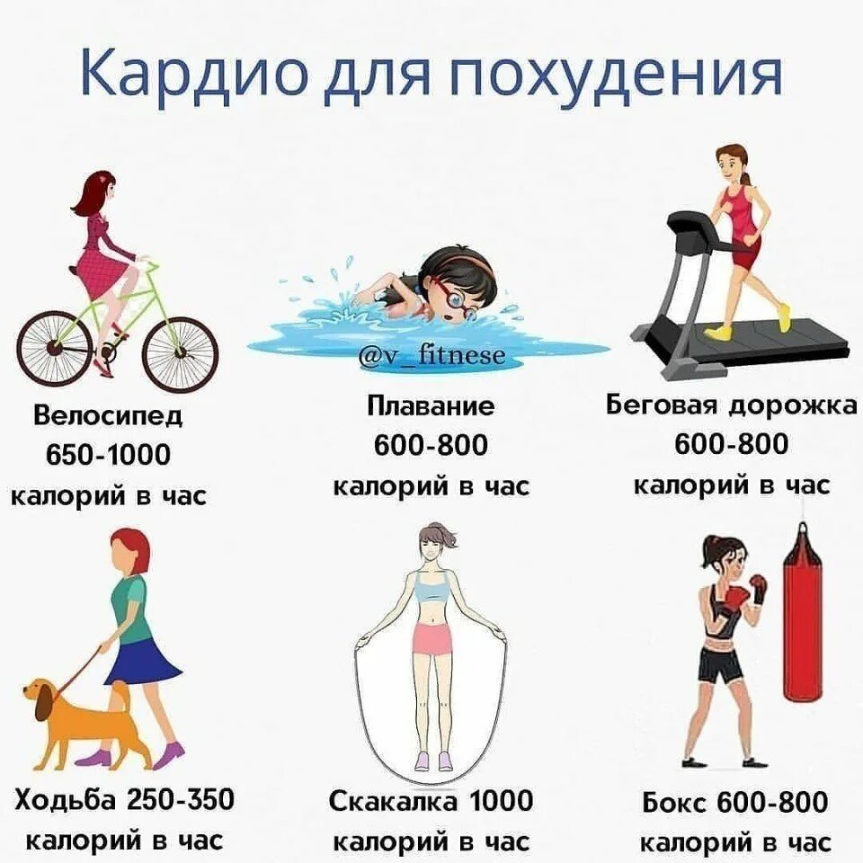Сколько калорий сжигается кардио