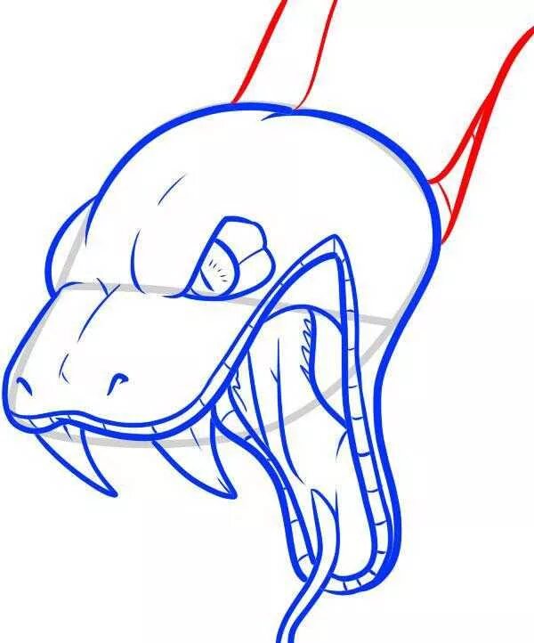 Голова змеи рисунок. Нарисовать голову змеи. Голова змеи эскиз. Голова змеи карандашом. Змея голова.