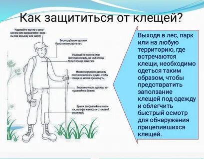 Клещевой энцефалит пути передачи