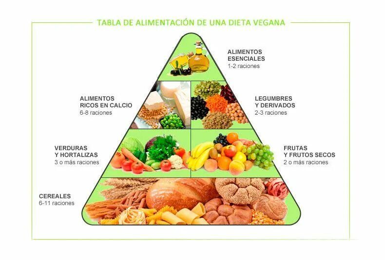 Почему мясо должно присутствовать в рационе. Vegetarianismo. Legumbres verduras hortalizas разница. Паста alimenticia de calidad Superior pinones.