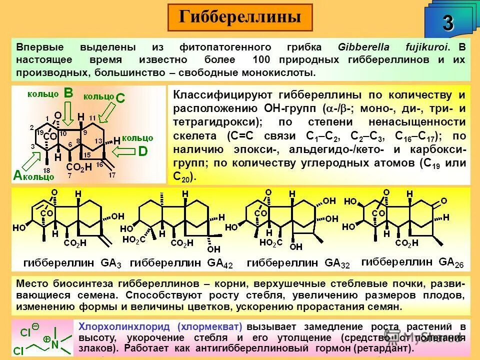 Фитогормоны действие. Фитогормоны Гиббереллины. Группа гиббереллинов строение. Гиббереллины гормоны растений. Гиббереллины химическая формула.