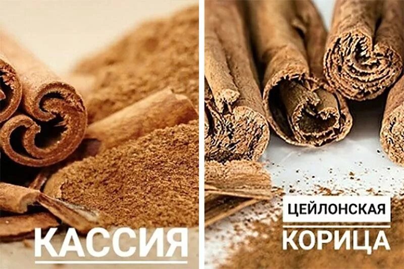 Кассия как отличить. Цейлонская корица и Кассия. Корица и Кассия разница. Корица китайская и цейлонская. Корица настоящая.