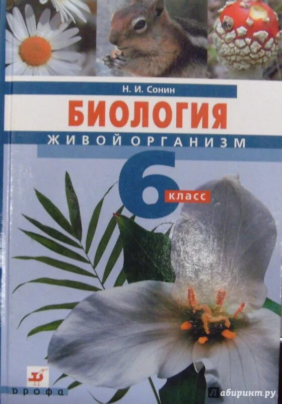 Биология живой организм 6 класс сонин. Биология 6 класс к. И. «биология. 6 класс.