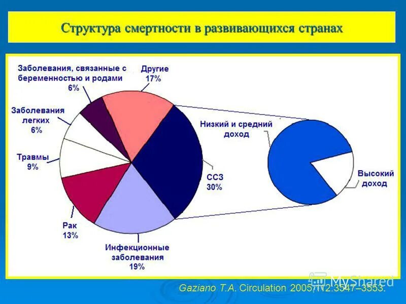 Дизентерия актуальность. Структура болезней органов дыхания. Внешняя политика казахстана кратко. Основные симптомы болезни органов кровообращения. Занимающий ведущее место в структуре.