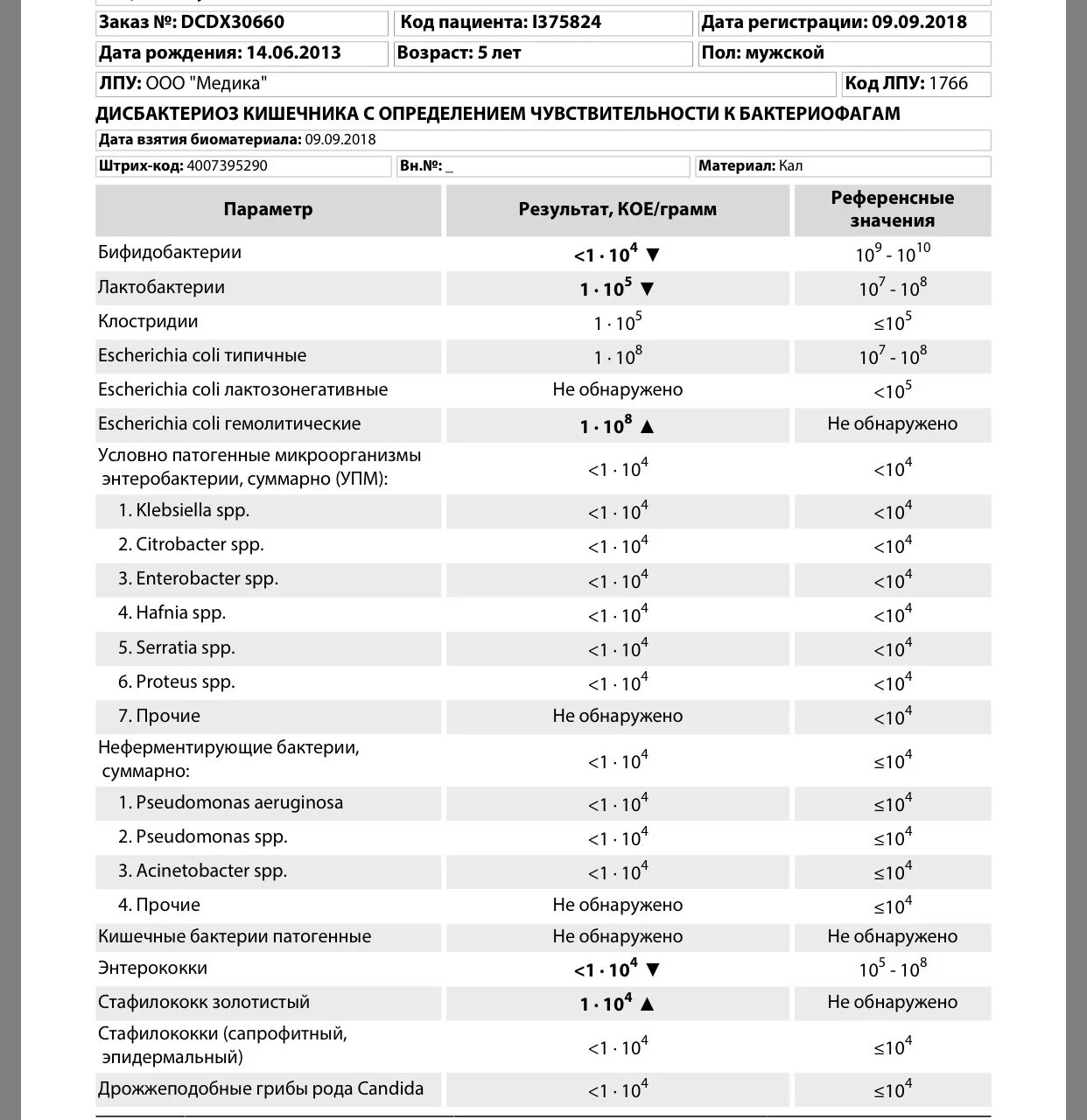 Кандида ниже порогового значения у мужчин что. Энтерококки в Кале у грудничка 0. Посев кала на дисбактериоз с определением чувствительности к фагам. Схему обследования на дисбактериоз кишечника. Схема посева кала на дисбактериоз кишечника.