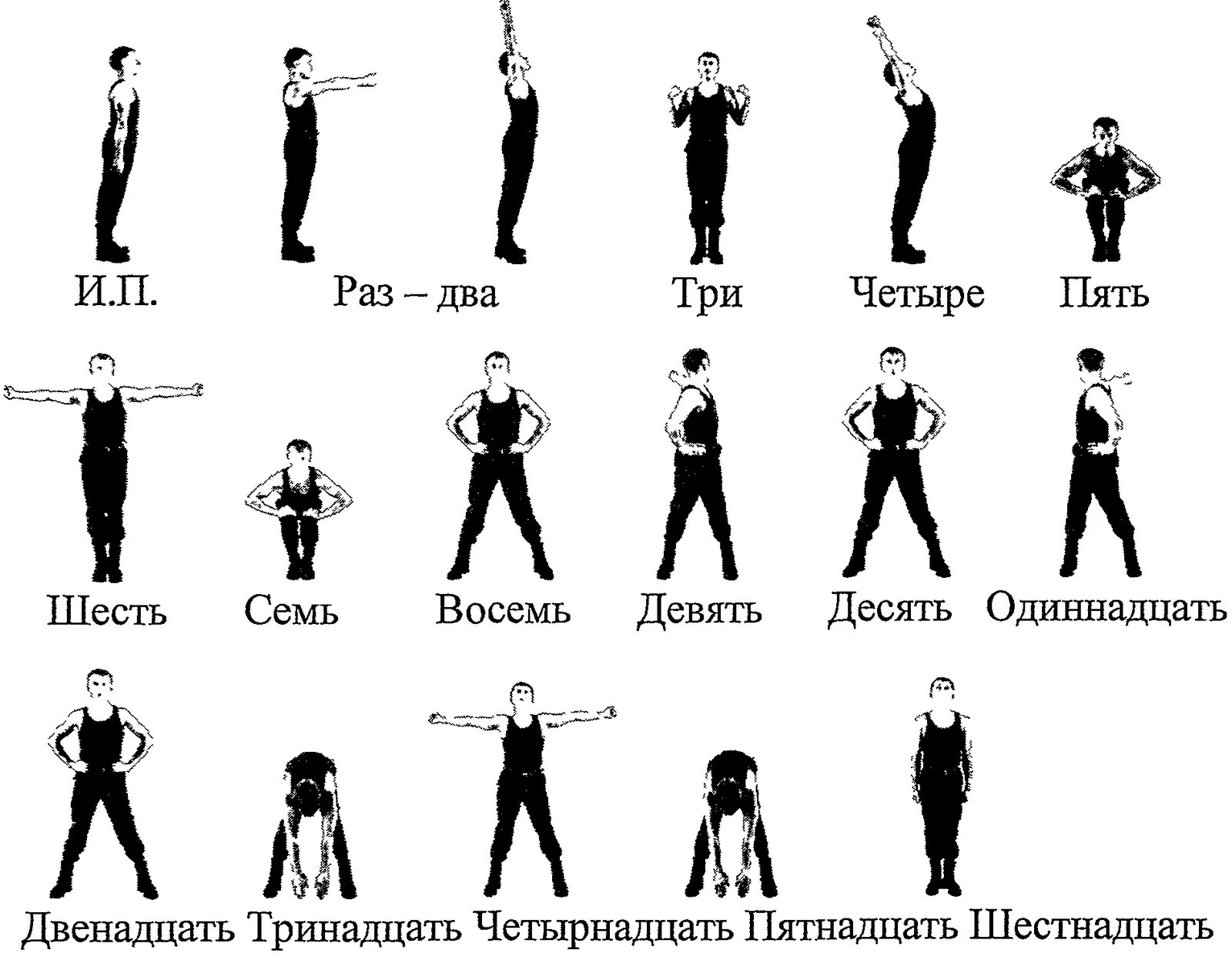 Зарядка для мужчин список упражнений. Комплекс упражнений для утренней зарядки. Упражнения для утренней зарядки для мужчин. Комплекс упражнений гимнастики для мужчин. Физзарядка 7