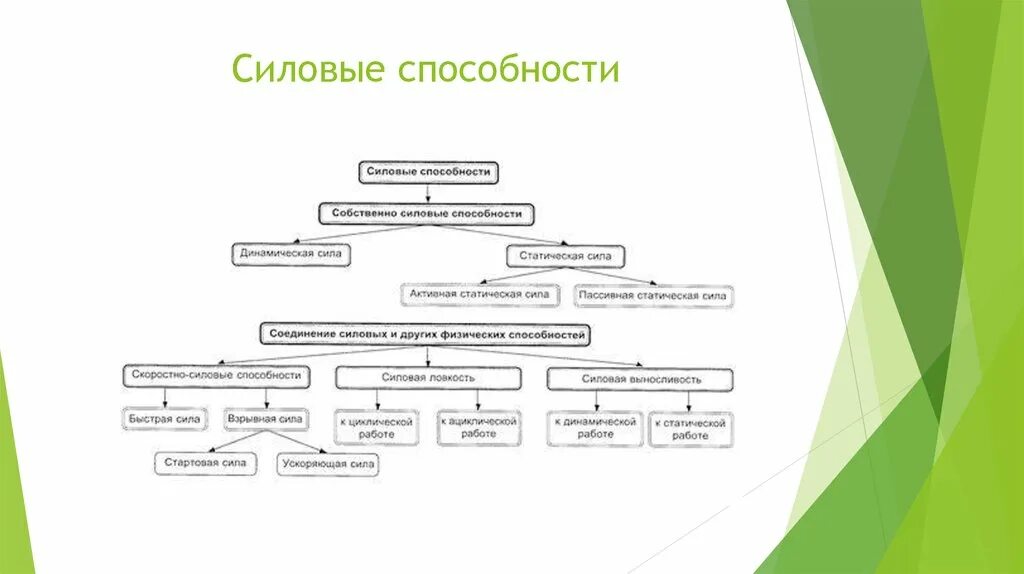 Многообразие способностей. Скоростно-силовые способности схема. Виды силовых способностей и их характеристика. Классификация силовых способностей схема. Различают несколько видов силовых способностей:.