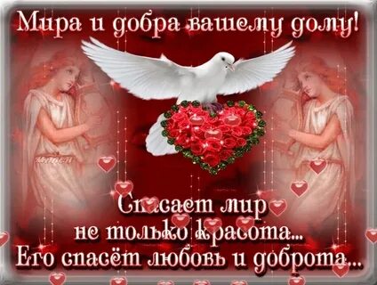 Добра любви и понимания вам