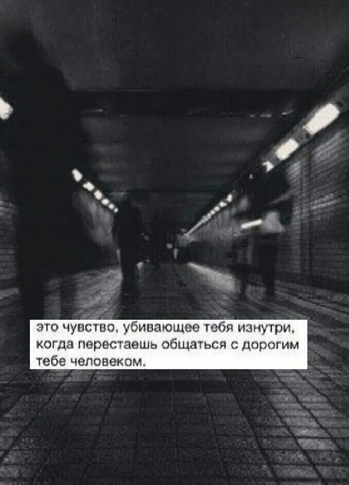 Цитаты убитых людей. Без чувств цитаты.