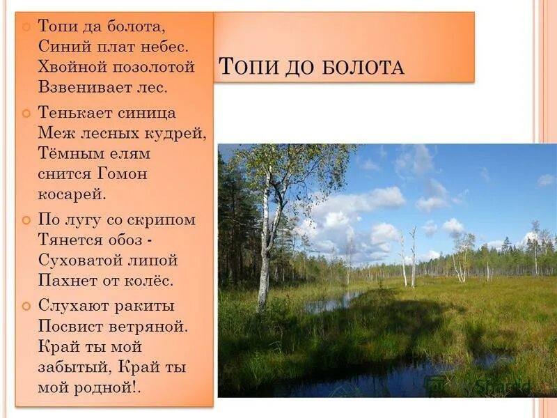 Болото составить слова. Стихотворение топи да болота Есенин. Топи да болота синий плат небес Хвойной позолотой Взвенивает лес. Тенькает синица меж лесных кудрей темным елям снится Гомон косарей.