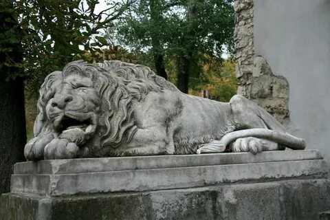 Лев город бор