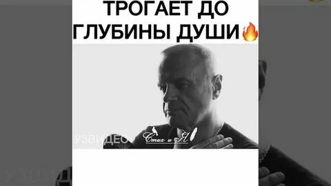 Слова тронули