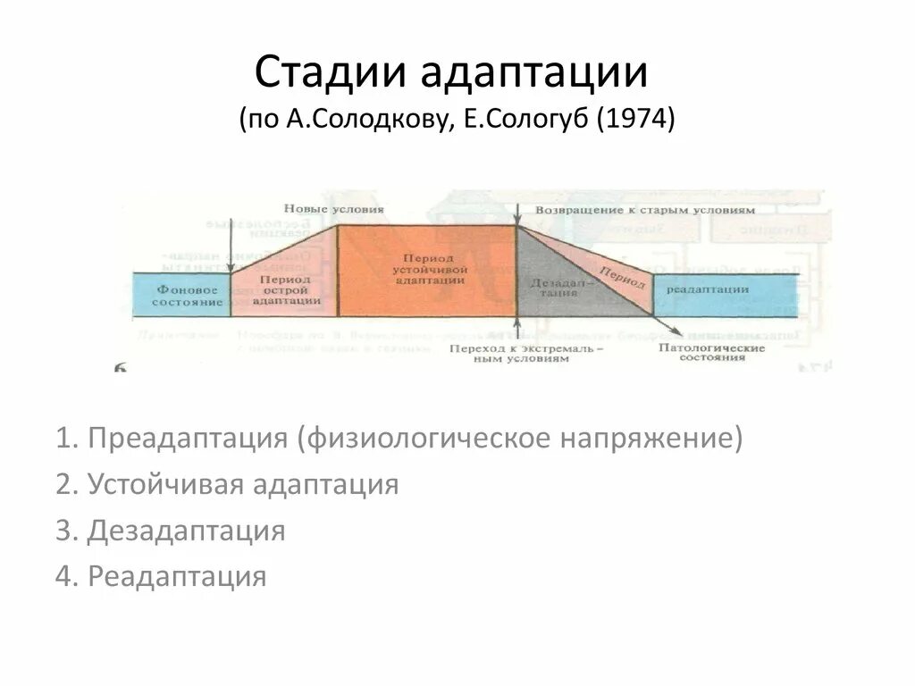 Фазы развития адаптации. Фазы физиологической адаптации. стадии адаптации физиология спорта. стадии развития адаптации.