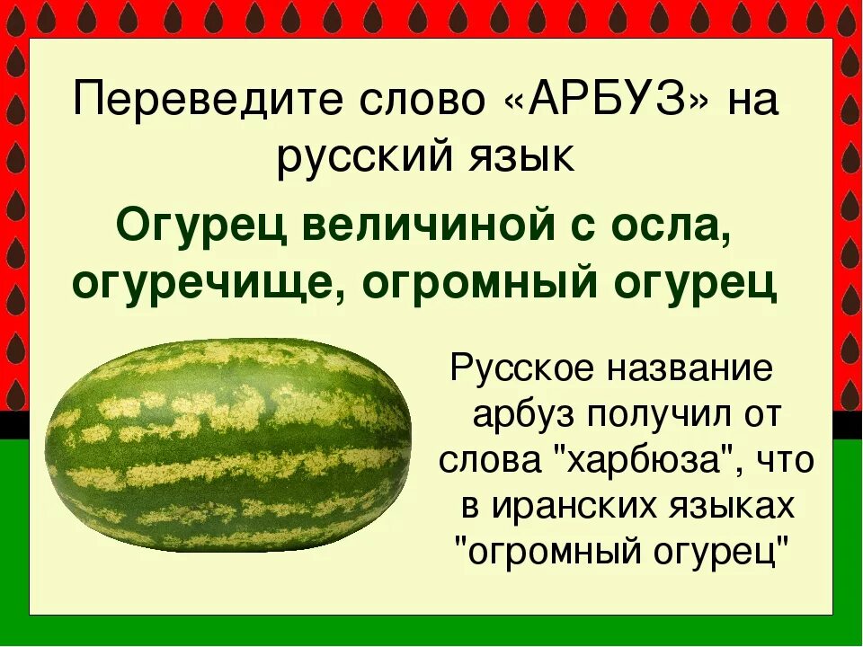 Происхождение слова Арбуз. История слова Арбуз. Краткое описание арбуза. Рассказ про Арбуз. Слова со словом арбуз