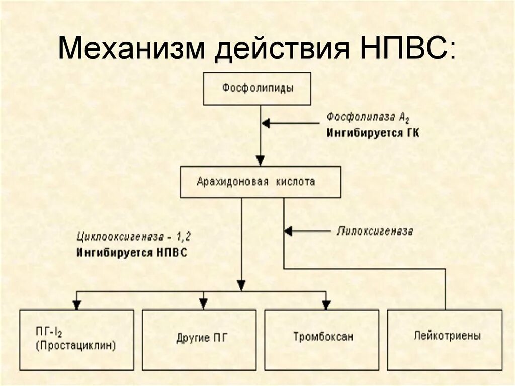 Нестероидные противовоспалительные препараты механизм действия. Схема действия противовоспалительных нестероидных. Схема действия НПВС.