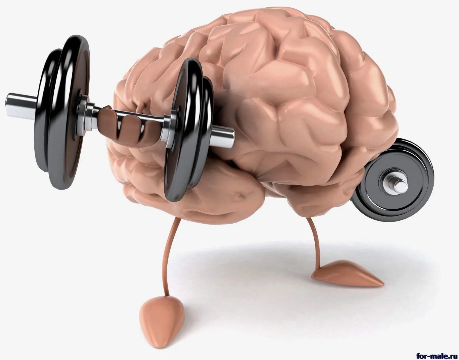 Для умственной активности и памяти. Тренировка мозга. Мозг с гантелей. Сильный мозг. Накаченный мозг.