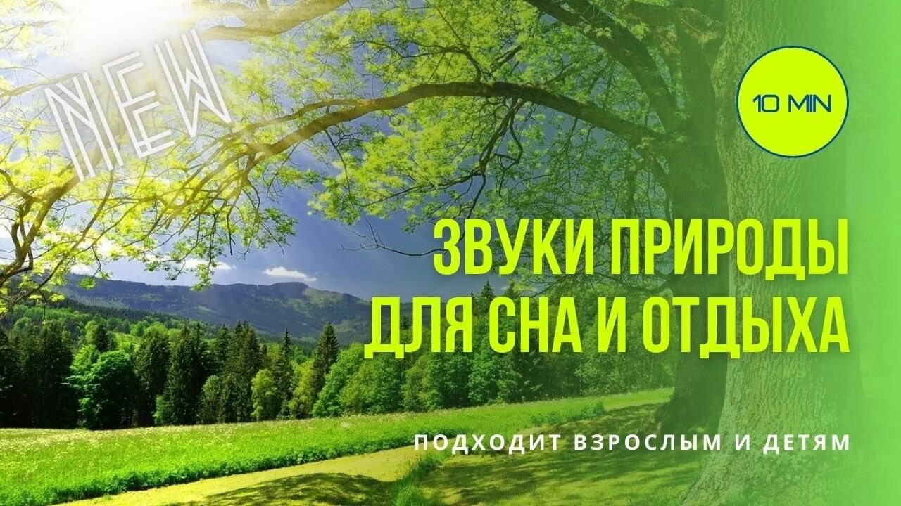 Звуки для релаксации и сна. Звуки природы для релаксации и успокоения. Шум природы для релаксации и успокоения нервов. Звуки природы для сна успокаивающая. Релакс звуки природы для сна.