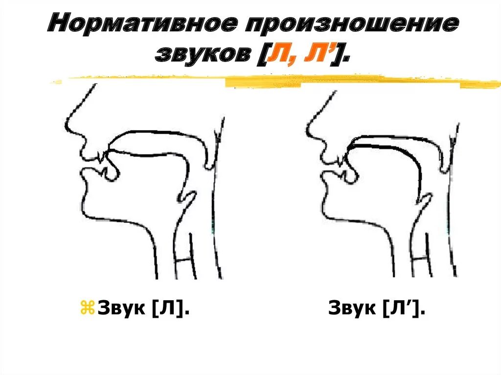 Артикуляция л. Профиль артикуляции звука л. артикуляция звука л и ль. положение языка при произношении звука л. правильное произношение звука л.