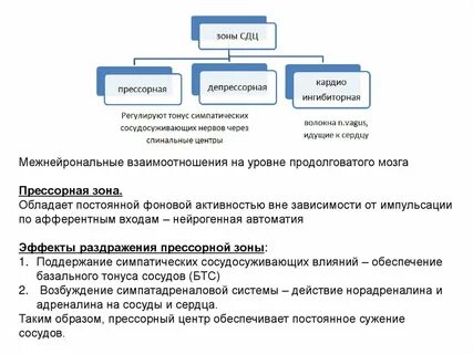 Свойства функционирования и развития систем