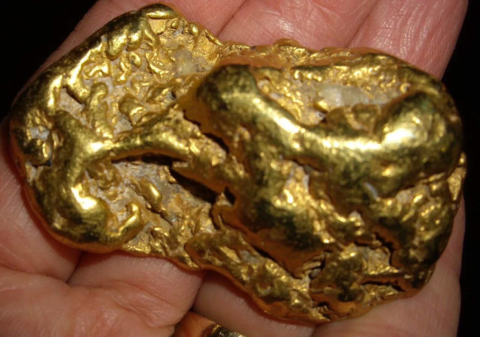 Самородное золото минерал. Золотая самородок самородок Золотая. Ирендыкский медведь золотой самородок. Золотой самородок медведь Башкирский. В каких водах есть золото
