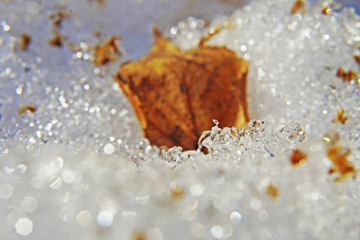 снег 2 июня картинки. тает снег. ноздреватый тающий снег. лужи весной. тает снег.