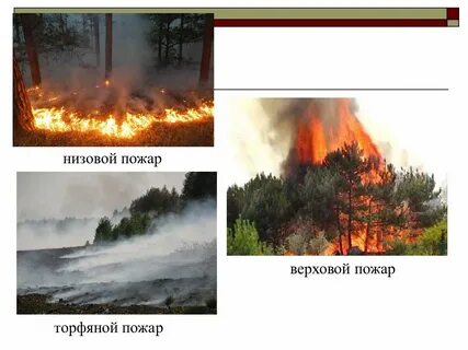 Установите соответствия низовой пожар это верховой