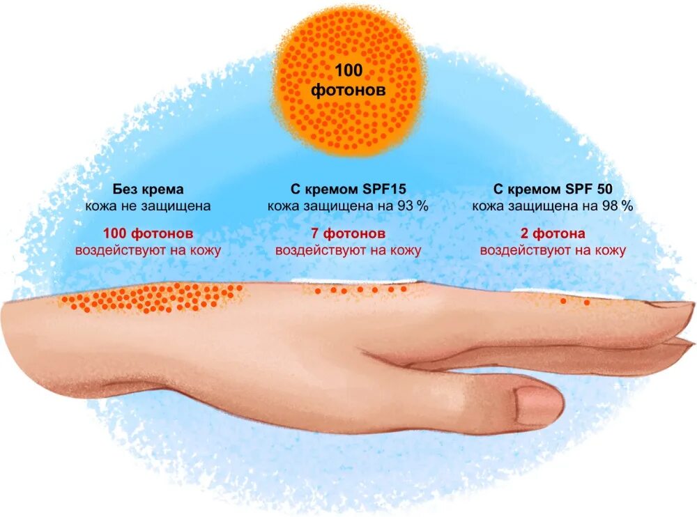 Спф при каком уф. Солнцезащитный крем инфографика. SPF на коже. Защита от УФ лучей кожа. Кожа с SPF И без.