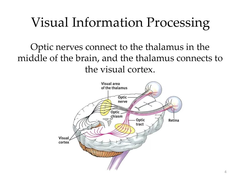 Визуальный процесс. Visual information. Логотип сравнение знаний. Visual information. Visual information.