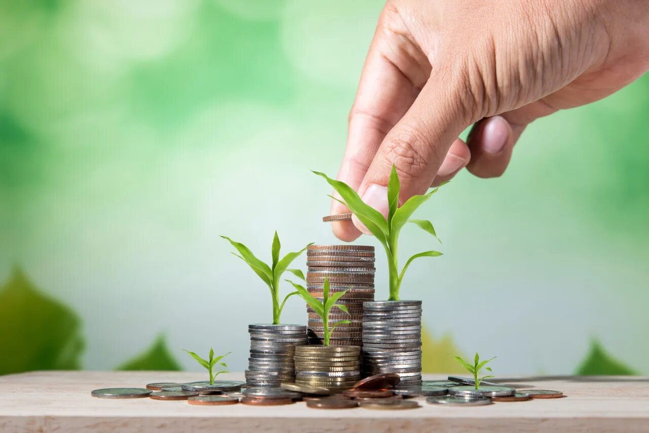 Льготные деньги