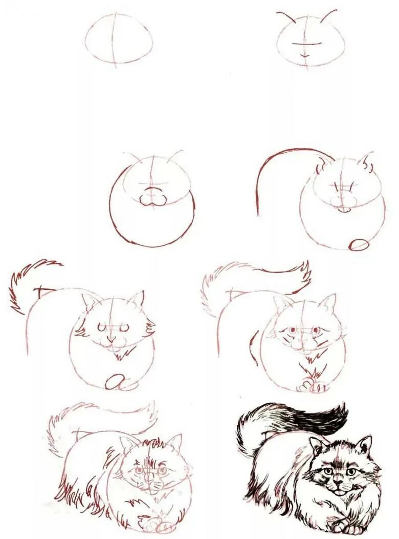 Рисовать поэтапно котиков. Пошаговые рисунки. Поэтапные рисунки. Рисунок карандашом пошагово. Поэтапное рисование кота.