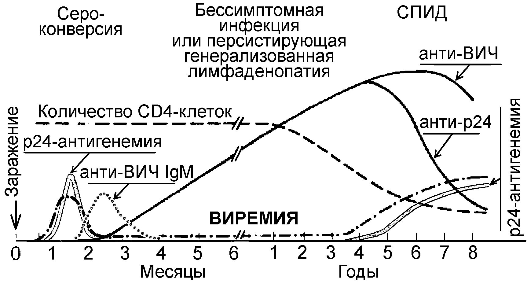 Тест на вич сроки. Сроки появления антител к ВИЧ. ВИЧ график антител. Антител/антигена HIV. ИФА 4 поколения на ВИЧ.