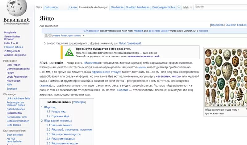 Как изменить статью в Википедии. Как поменять Википедию. Как редактировать Википедию. Википедия сменить язык.