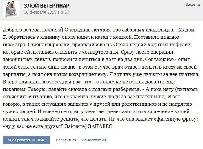 Анекдоты ветеринара. Шутки про ветеринаров. Истории от ветеринаров. Интересные истории из практики ветеринара. Веселые истории ветеринара.