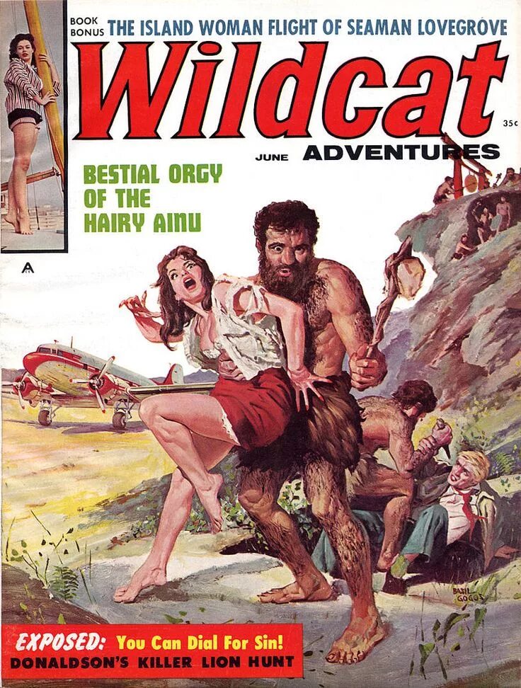 Wildcat Adventures журналы. Adventures magazine