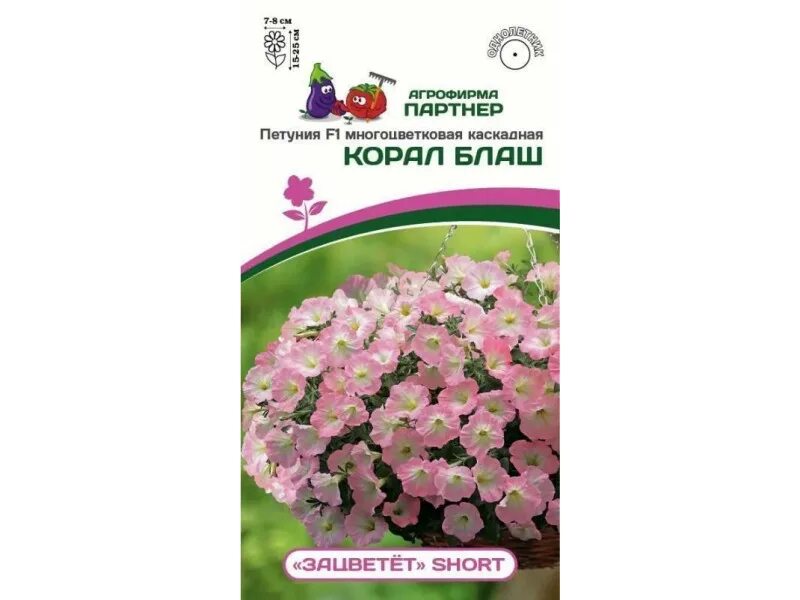 Семена петуний зацветет. Петуния каскадная многоцветковая. Петуния каскадная семена. Петуния "зацветёт" short Корал Блаш f1 многоцветковая каскадная. Семена петунии партнер зацветет.