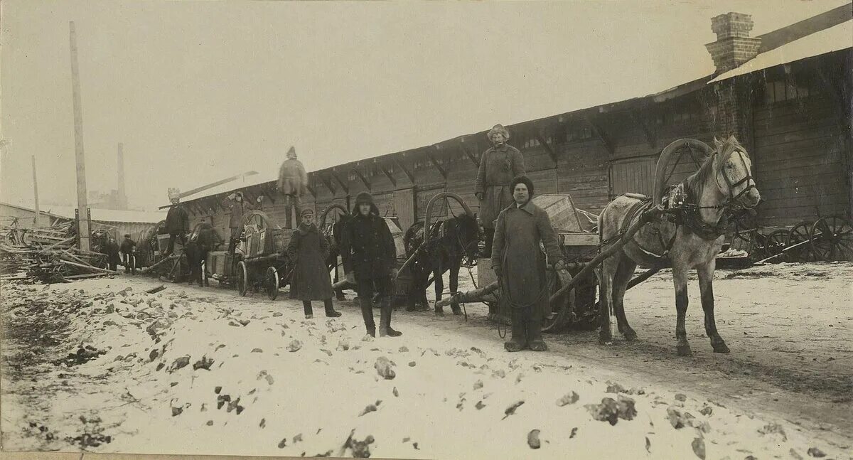 Голод в Самарской губернии. Причины голода 1921