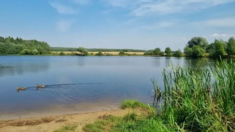 Дубна орехово зуево