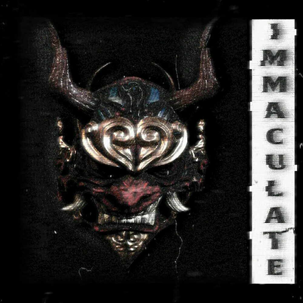 Immaculate slowed. Immaculate visage. visage обложка. immaculate phonk. visxge inoculate обложка.