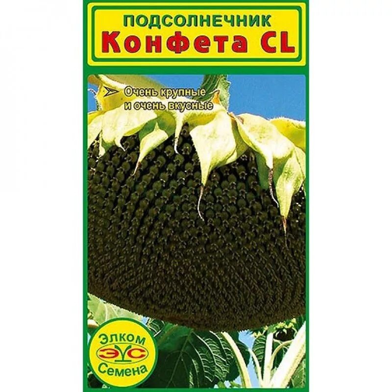 Нс семена интернет магазин. Подсолнечник конфета. Подсолнечник «конфета СL». Семена подсолнуха упаковка. Подсолнух Рио семена Элком..